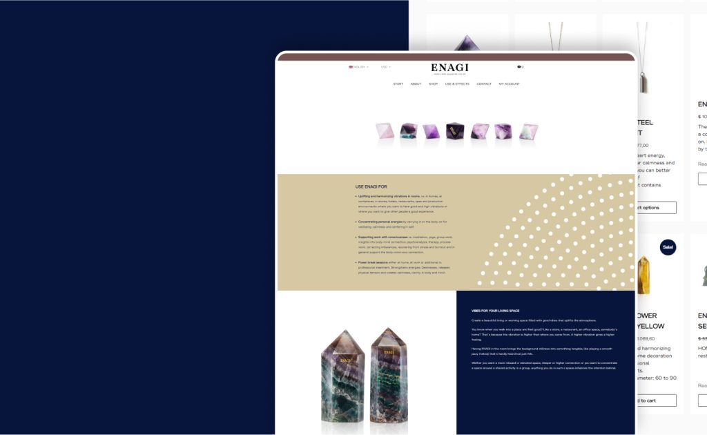 Enagi website, built by Webnotics