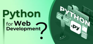 Is Python Good for Web Development?